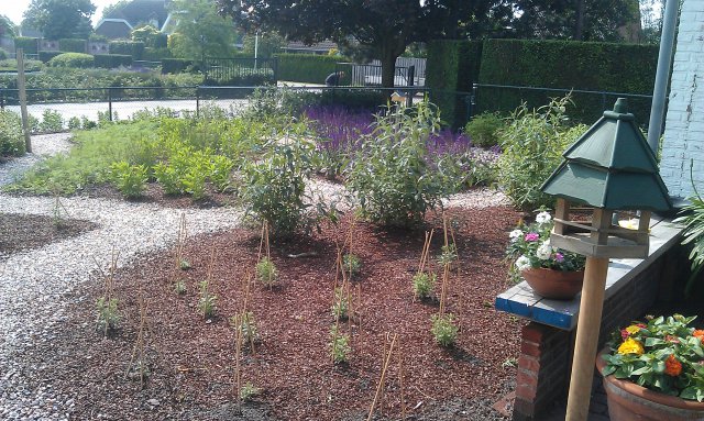 Vlindertuin in ontwikkeling, Beringe 